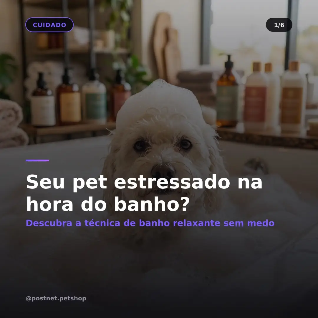 Carrossel gerado — slide 1