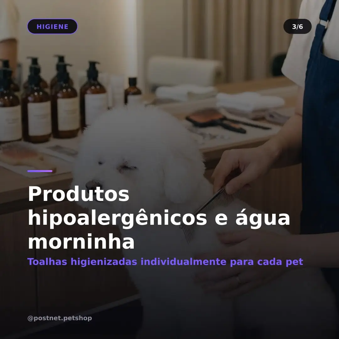 Carrossel gerado — slide 3