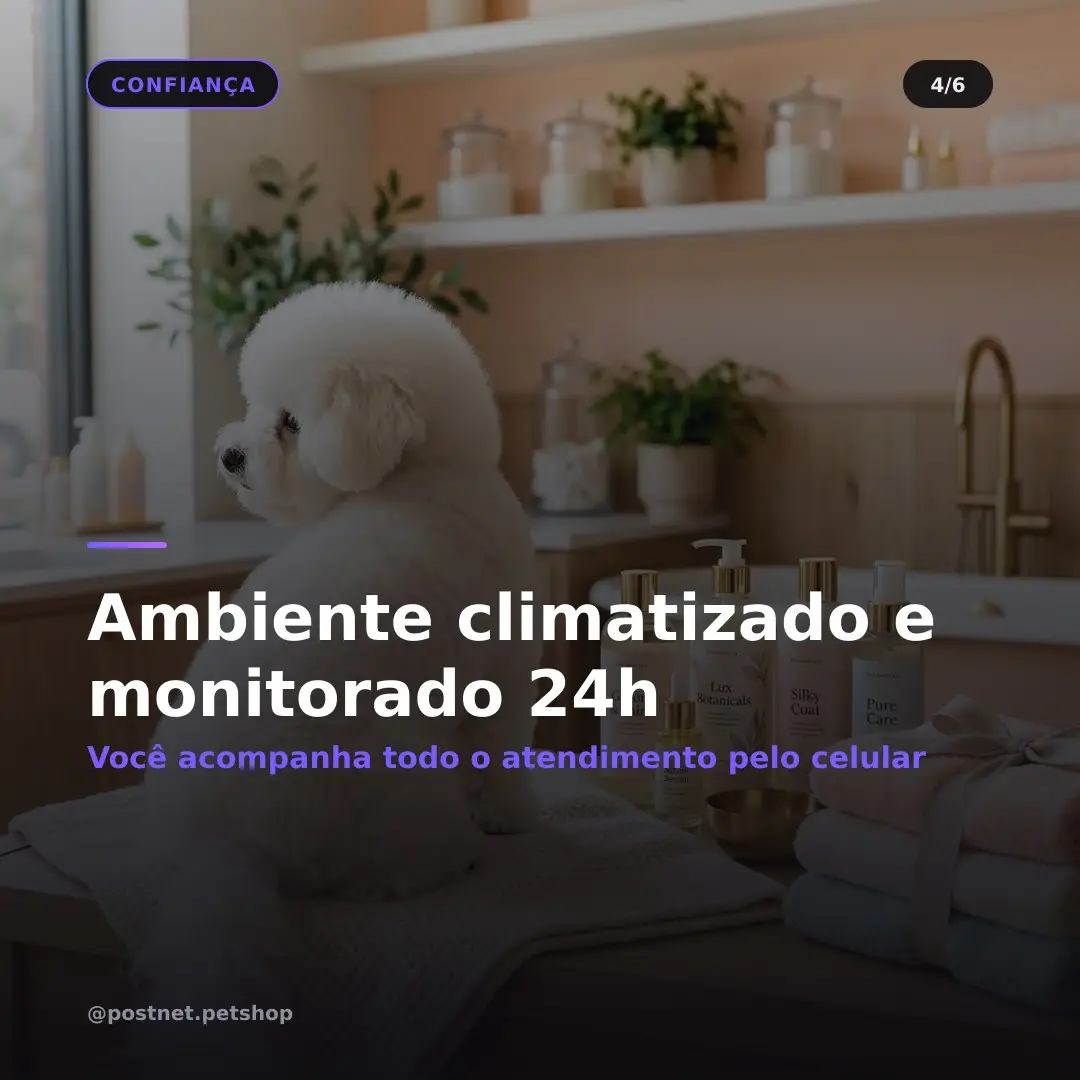 Carrossel gerado — slide 4