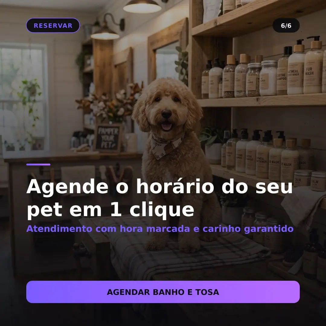 Carrossel gerado — slide 6
